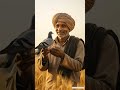 A poor farmer and a pigeon… a small story with a big lesson. 🕊️🌾 #ai #pigeon #farmer #poor