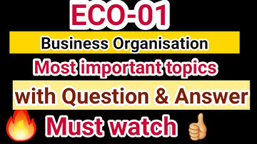 Eco 01 Most Important Questions and Answers |Tips|  |Business Organisation | Eco 01