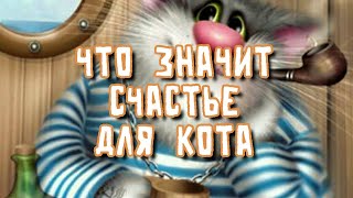 Что значит счастье для кота