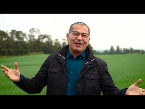 Agricultor explica como faz a escolha mais rentável para a safra de inverno no Paraná | Canal Rural