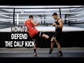 Jeremy Stephens vs Gilbert Melendez Calf Kick Breakdown