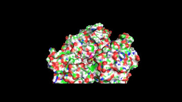 Drug discovery Solutions by using Artificial Intelligence and Machine Learning - Immunocure