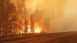 Wildfires in Yakutia 2021