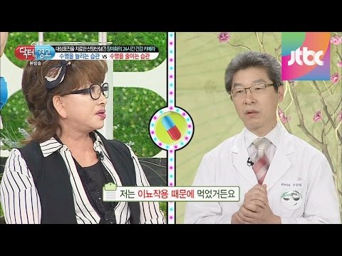 옥수수차효능 추천