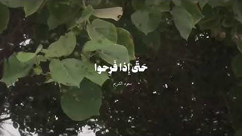 #القرآن الكريم #تلاوة_خاشعة #أستغفرالله #الحمدلله #سبحان_الله #لا إله إلا الله 🌸🌷