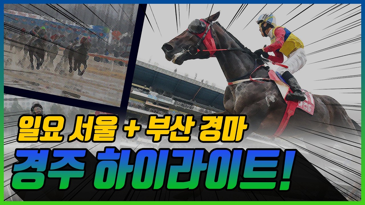[일요 경마] 2026년 8월 30일 일요 경주 하이라이트 #경마 #한국마사회 #하이라이트
