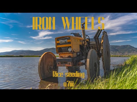 IRON WHEELS at old Renault 651s - rice seeding - a7iii