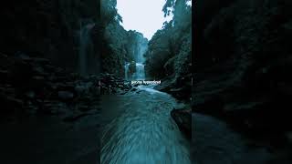 Hypnotized Neoni  neoni songs s shorts