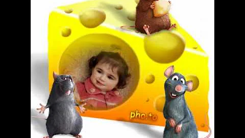 Olin   Jennifer