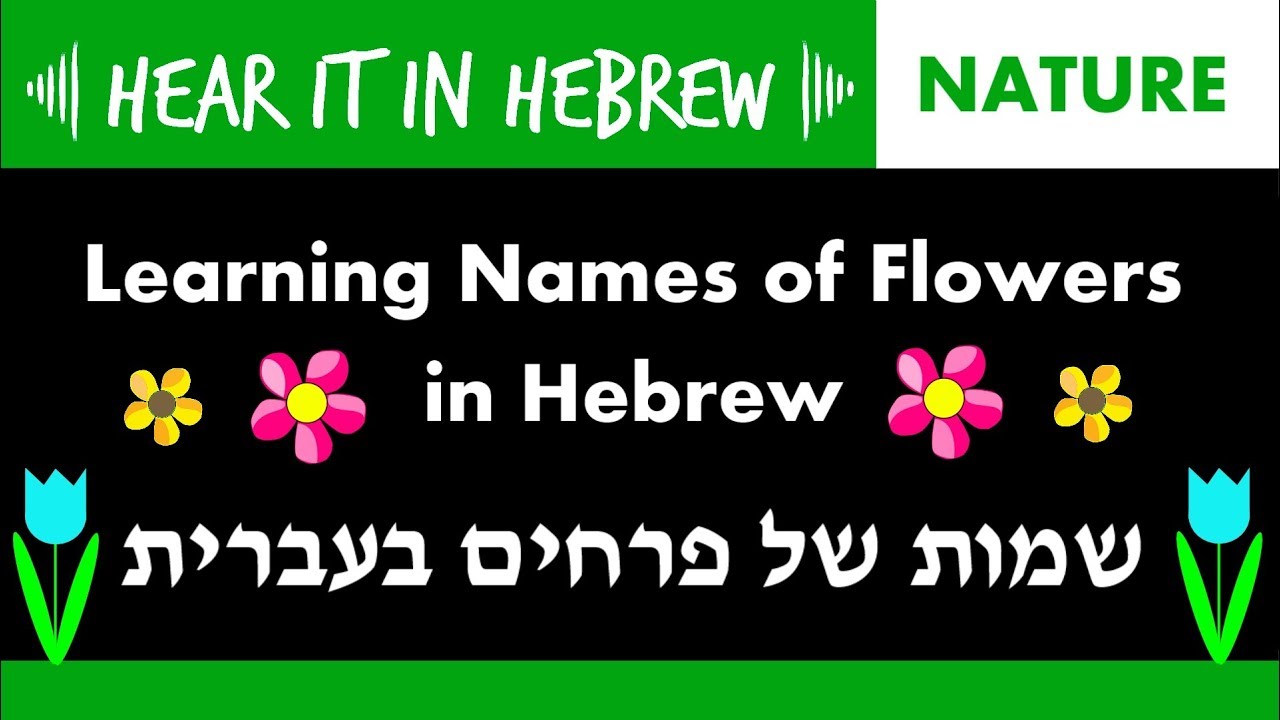 Names Of Flowers In Hebrew -  שמות של פרחים בעברית