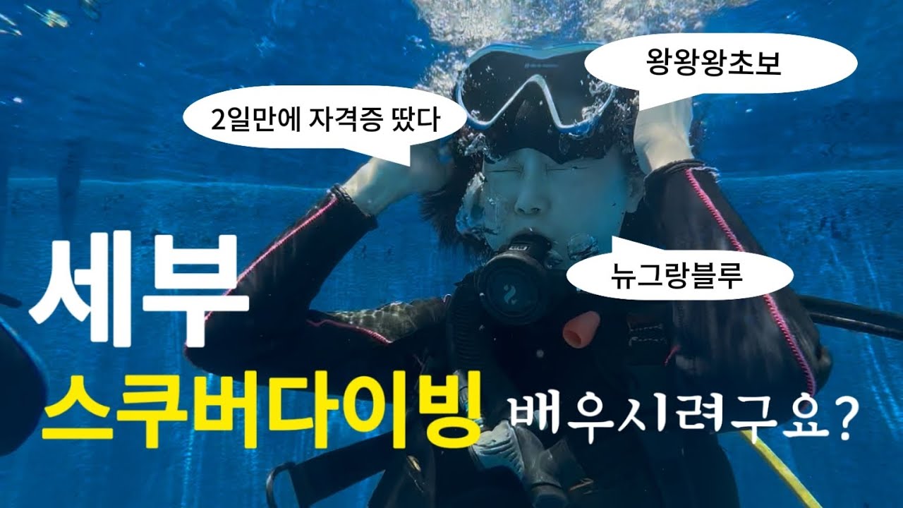 필리핀 세부에서 스킨스쿠버 자격증 2일만에 딴 썰 ㅋㅋ#더마크리조트  #뉴그랑블루 