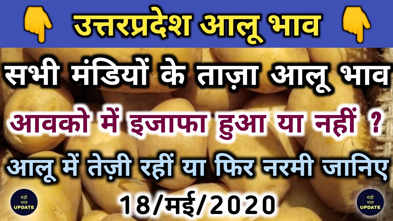Today Potato Rate 18 May 2020 Potato Market Price Potato Wholesale