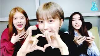 Momoland 모모랜드 Daisy, Hyebin & Jane in Vlive Featuring Jooe & Yeonwoo (April 10, 2018)