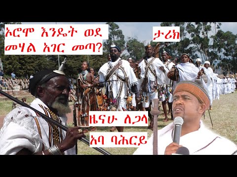 ቪዲዮ: በጋዜጠኞች የተገለፀው ተዋናይ ኢቫንዲያ ዲሚሪቫ ምስጢራዊ ጋብቻ - ዕድሜ ለደስታ እንቅፋት በማይሆንበት ጊዜ