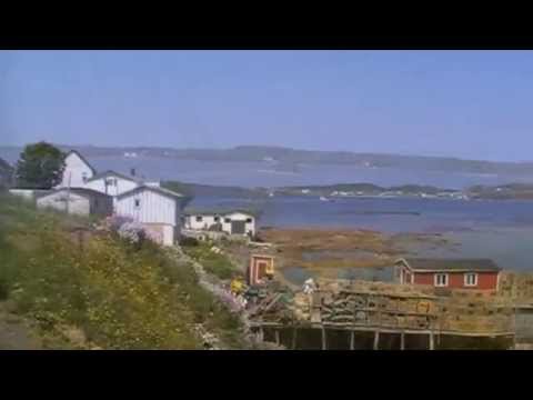 Video: 11 Minder, Du Er Vokset Op I Newfoundland