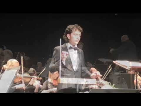 Видео: Misirlou - терменвокс и оркестр