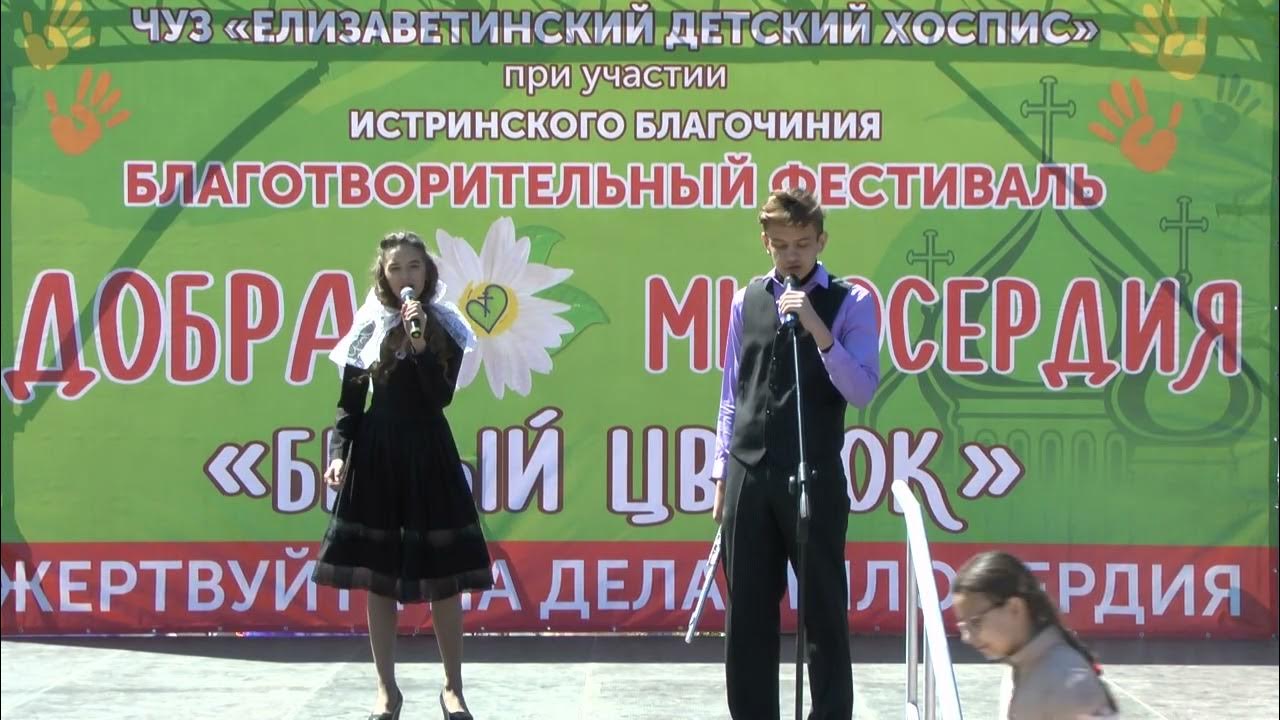 Благотворительный концерт надпись. Концерт белый цветок. Концерт белый цветок. Концерт дуэт товарищи. Концерт белый цветок.