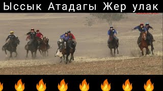 Ыссык-Атадыгы Жер улак 🔥🔥🔥 Мына сага оюн 👍👍👍