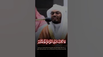 الشيخ #ياسر_الدوسري #القرآن_الكريم #راحة_نفسية #آيات #المصحف #yasseraldossary #quran #foryou #islam