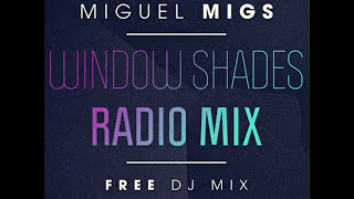 Miguel Migs ♫ Window Shades Radio Mix ♫ Salted Music