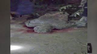 DETIK-DETIK TERJADINYA BANJIR BANDANG DI KOTA MASAMBA