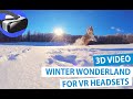 Winter Wonderland 3D Video - Oculus Quest / Quest 2 & other VR Headsets