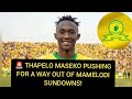 MAMELODI SUNDOWNS TRANSFER NEWS THAPELO MASEKO MAMELODI SUNDOWNS TRANSFER NEWS THAPELO MASEKO