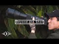 Sigma 150-600mm Lens Review for Wildlife/Bird Photography | BEYOND THE SHOT