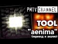 AENEMA: перевод песни гр. TOOL | PMTV Channel