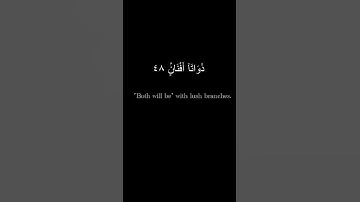 كروما قران شاشة سوداء بدون حقوق للقارئ  بلال دربالي 🌿black screen quran verse