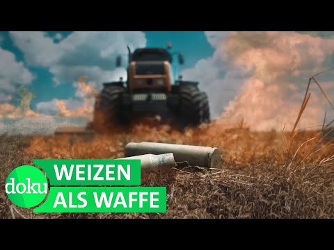 Video: Wiener Zeughaus. Rüstung für Turniere