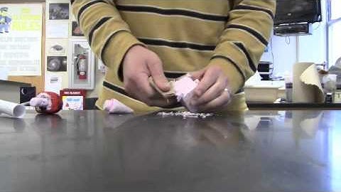 Rockets Step 4 Nose Cone