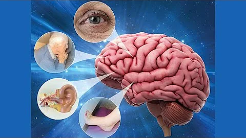 Qual a diferença entre anticorpo marcado e não marcado?