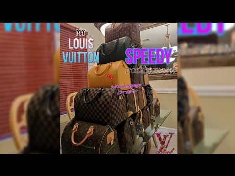 Everything On Louis Vuitton Limited Speedys: Golden Arrow, Paillettes,  Fleur de Jais, Mirage, Camo 