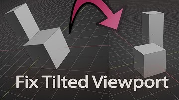 Fix Rotation of Viewport in Blender