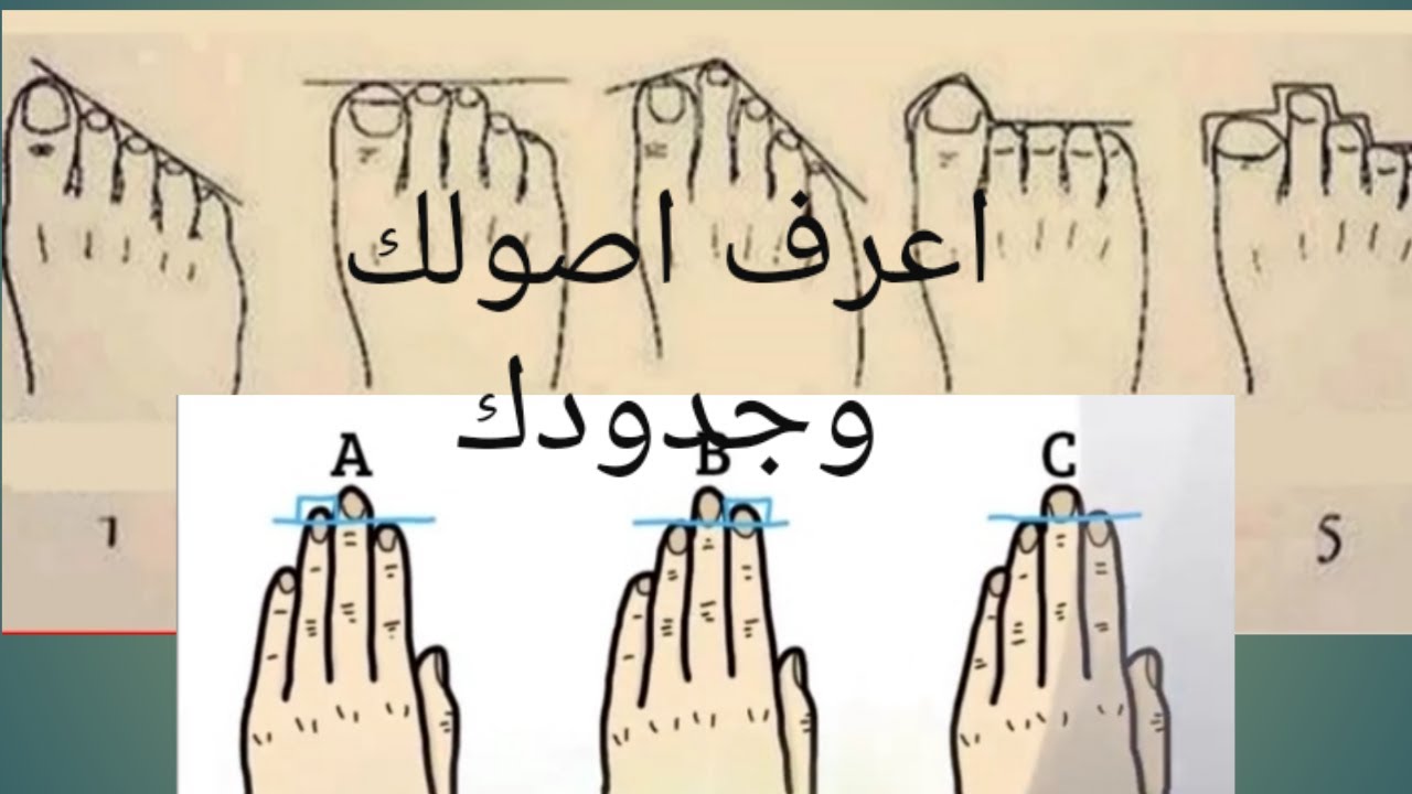 هل تريد ان تعرف اصل جدودك والي اين يصل نسبك ستعرف من خلال هذا الاختبار#هل_تعرف ما هي الاسرار؟