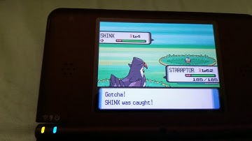 RANDOM FIRST ENCOUNTER SHINY SHINX?!?!