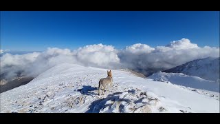 Bivacco Fusco 2455mt. Monte Focalone 2676mt. Parco Nazionale della Majella. Trekk with wolfdog.