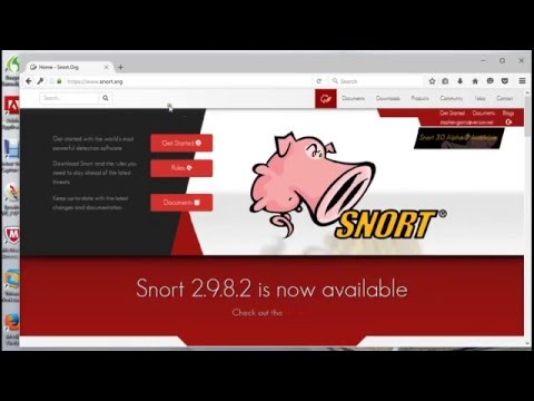 install snort 2 9