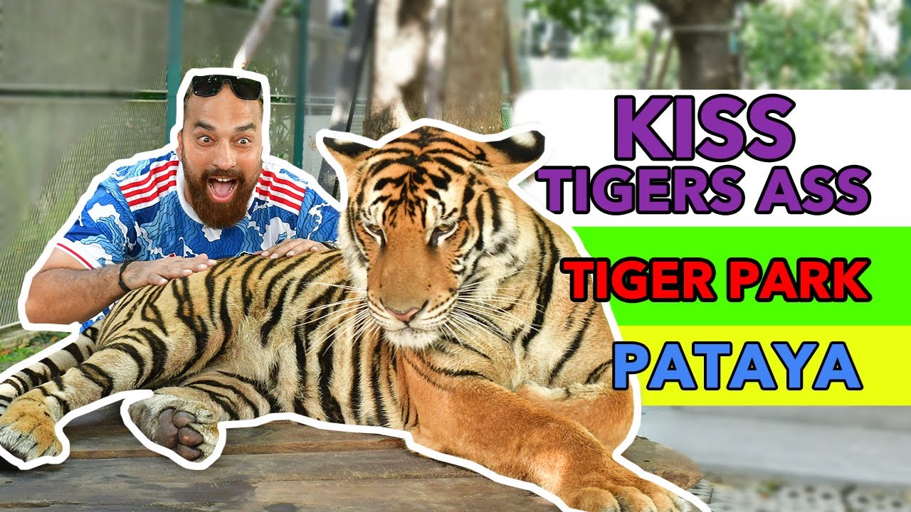 Tiger Park Pattaya Thailand