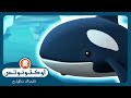 أوكتونوتس | 🧊 الحيتان القاتلة في القطب الشمالي 🐳 | السلسلة 1 | الحلقة 43