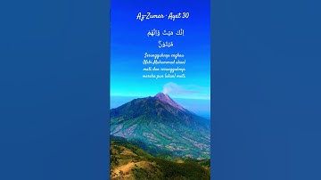 Surah Az-Zumar (سورة الزمر)  ٣٠