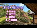 대구근교 배롱나무 명소 하목정, 삼가헌, 육신사, 가실성당 #하목정 #육신사 #가실성당