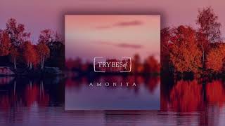 Amonita - Breathe (try022) Resimi