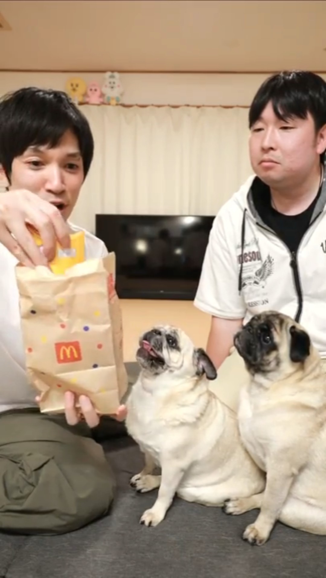 A thorough review of two new McDonald's pies!!! - YouTube