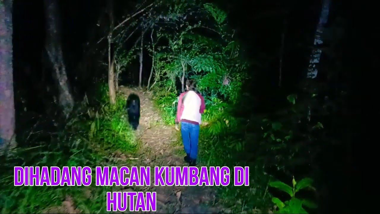 Panik sampai keringet dingin keluar di kejar penjaga gerbang goib