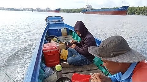 Câu Cá Nâu Cảng Gò Dầu Mỹ Xuân || Tranh Thủ Ngày Nước Kém  ||Cá Ăn Giựt Không Kịp @Dammecauca1