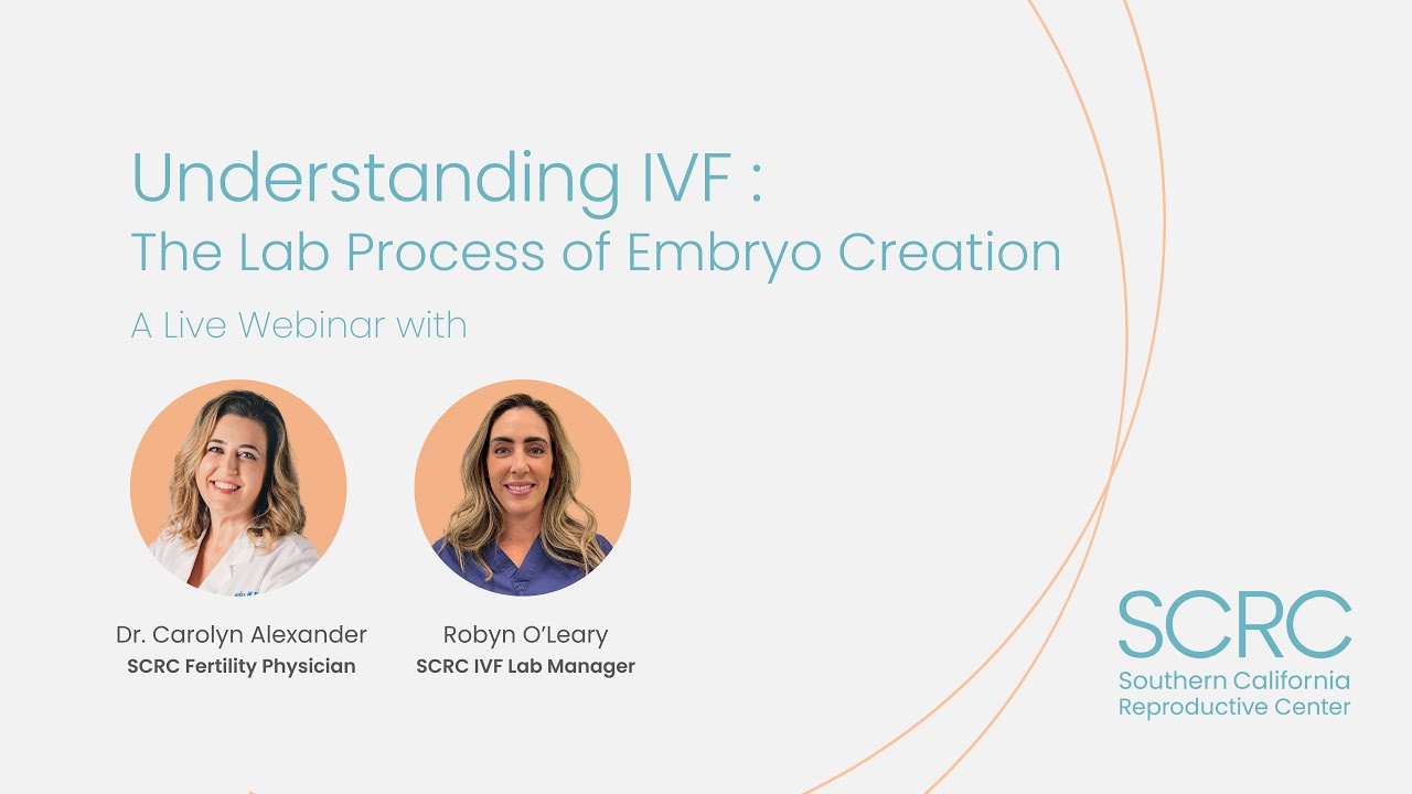 Understanding IVF : The Lab Process of Embryo Creation with Dr. Carolyn ...
