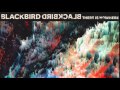 Blackbird Blackbird - There Is Nowhere (Phages Remix)