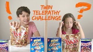 TWIN TELEPATHY CAKE CHALLENGE !!